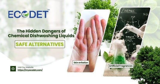 The Hidden Dangers of Chemical Dishwashing Liquids and Safe Alternatives