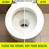 Natural Toilet Cleaner - Lemon Grass - 500 ml